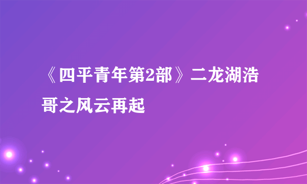 《四平青年第2部》二龙湖浩哥之风云再起