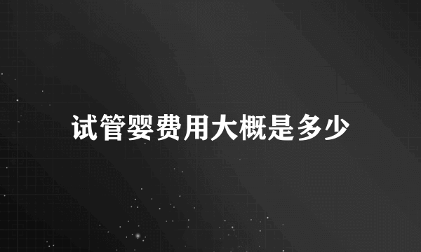 试管婴费用大概是多少