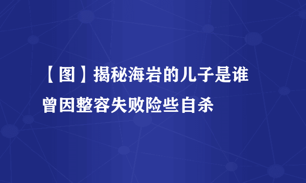 【图】揭秘海岩的儿子是谁  曾因整容失败险些自杀