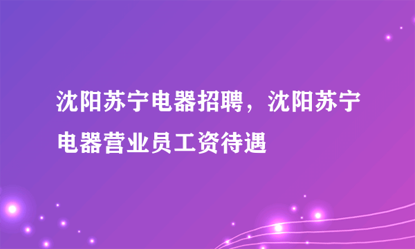 沈阳苏宁电器招聘，沈阳苏宁电器营业员工资待遇