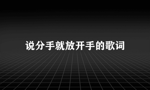 说分手就放开手的歌词