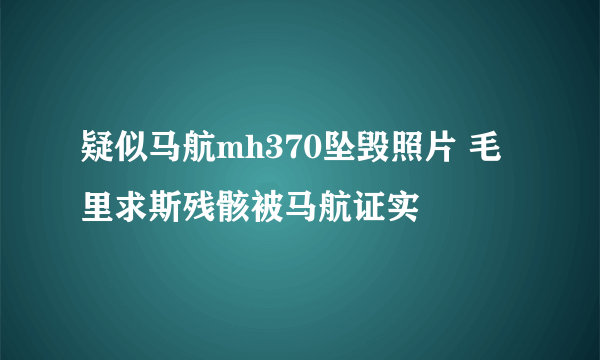 疑似马航mh370坠毁照片 毛里求斯残骸被马航证实