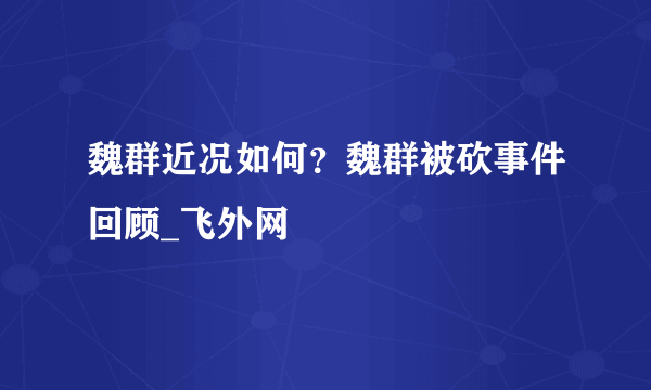 魏群近况如何？魏群被砍事件回顾_飞外网