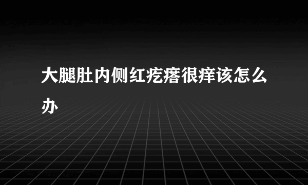 大腿肚内侧红疙瘩很痒该怎么办