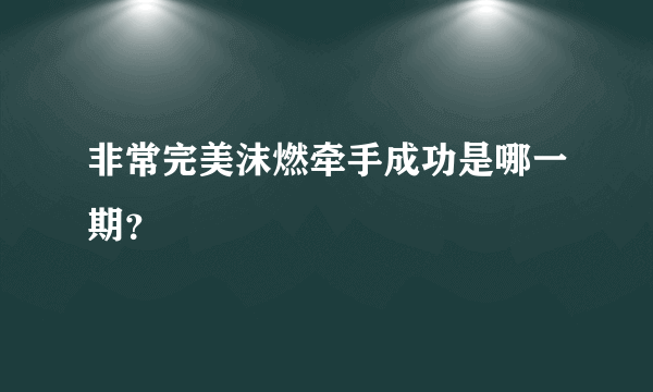 非常完美沫燃牵手成功是哪一期？