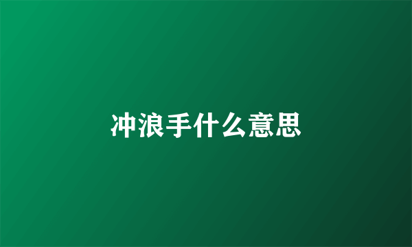 冲浪手什么意思