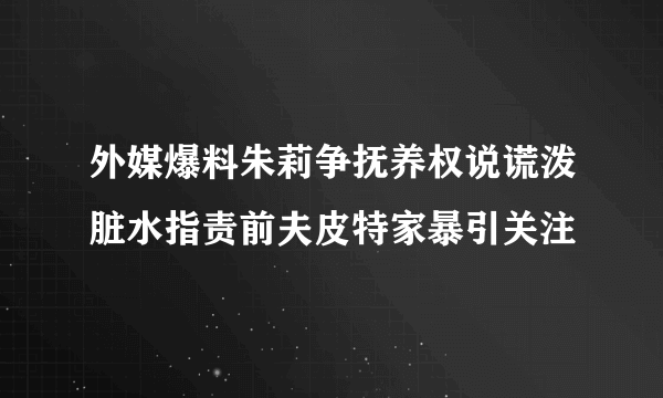 外媒爆料朱莉争抚养权说谎泼脏水指责前夫皮特家暴引关注