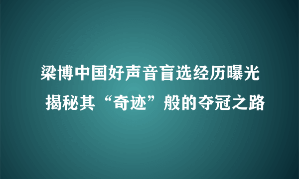 梁博中国好声音盲选经历曝光 揭秘其“奇迹”般的夺冠之路