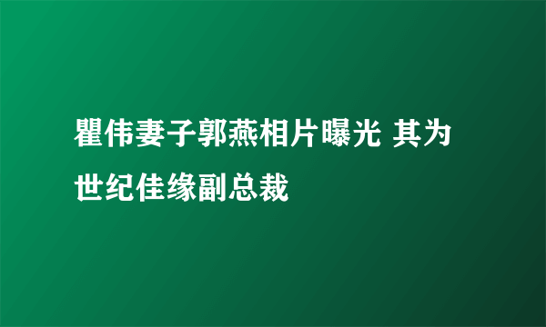 瞿伟妻子郭燕相片曝光 其为世纪佳缘副总裁