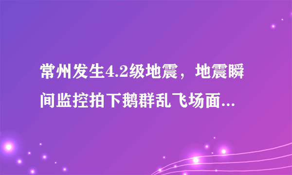 常州发生4.2级地震，地震瞬间监控拍下鹅群乱飞场面，现场情况如何？