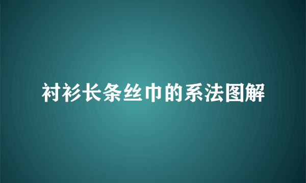 衬衫长条丝巾的系法图解