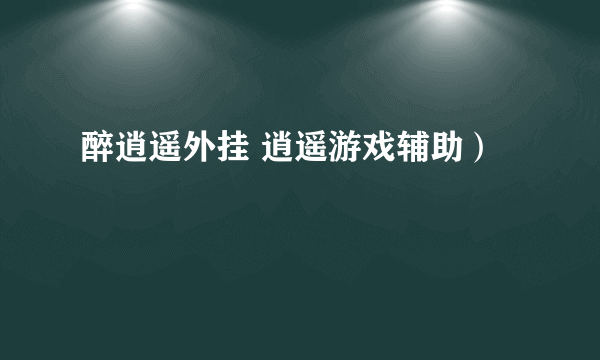 醉逍遥外挂 逍遥游戏辅助）