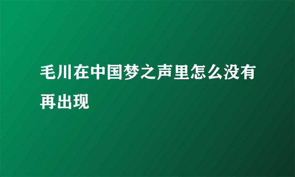 毛川在中国梦之声里怎么没有再出现