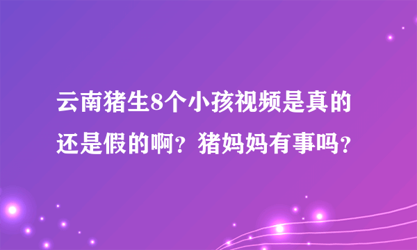 云南猪生8个小孩视频是真的还是假的啊？猪妈妈有事吗？