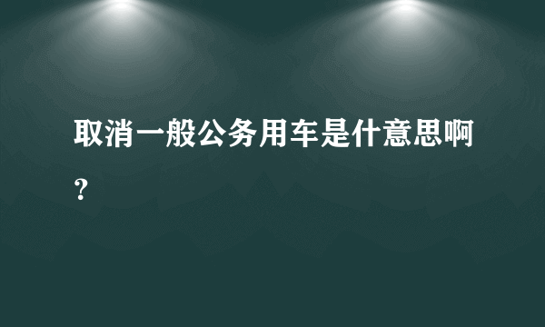 取消一般公务用车是什意思啊？