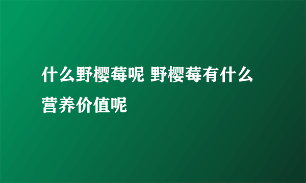 什么野樱莓呢 野樱莓有什么营养价值呢