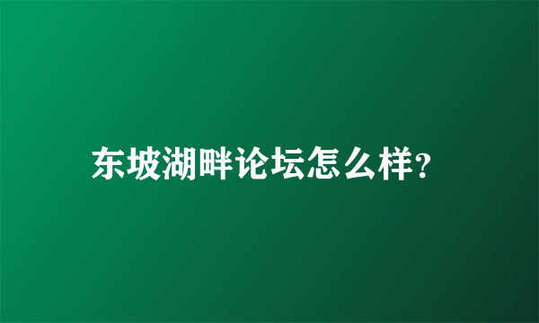 东坡湖畔论坛怎么样？