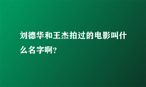 刘德华和王杰拍过的电影叫什么名字啊？