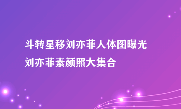 斗转星移刘亦菲人体图曝光 刘亦菲素颜照大集合