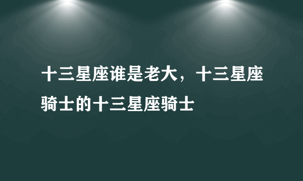 十三星座谁是老大，十三星座骑士的十三星座骑士