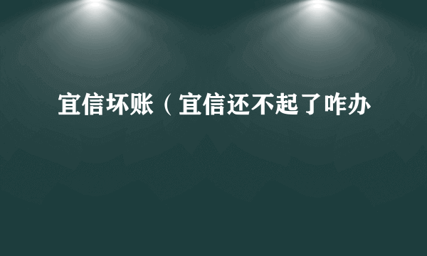 宜信坏账（宜信还不起了咋办