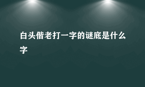 白头偕老打一字的谜底是什么字