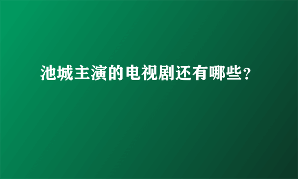 池城主演的电视剧还有哪些？