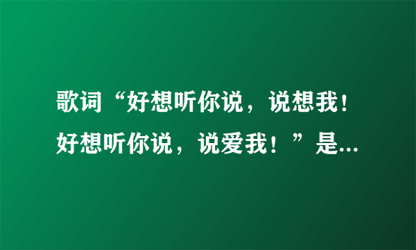 歌词“好想听你说，说想我！好想听你说，说爱我！”是什么歌？