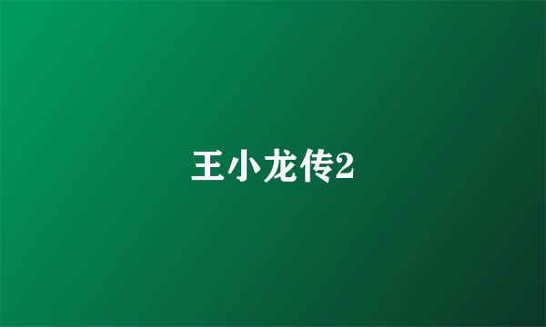 王小龙传2