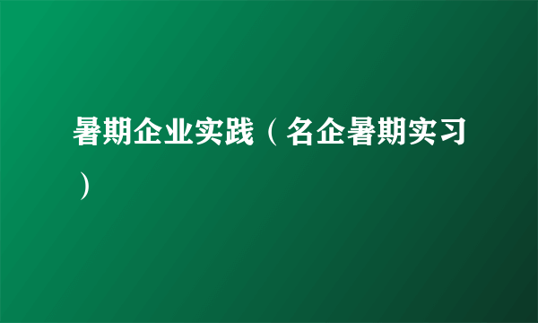 暑期企业实践（名企暑期实习）