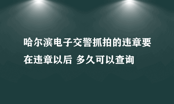 哈尔滨电子交警抓拍的违章要在违章以后 多久可以查询