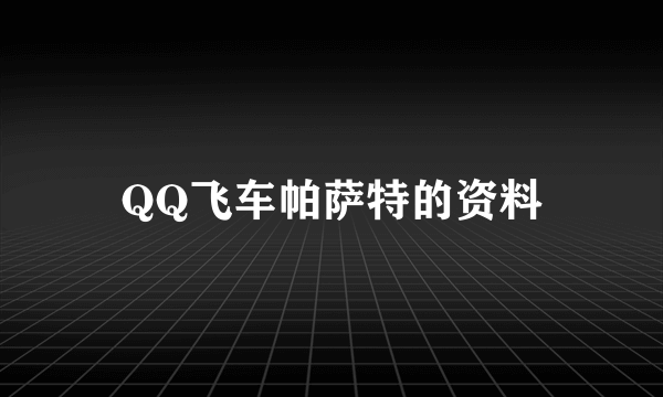 QQ飞车帕萨特的资料