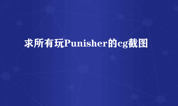 求所有玩Punisher的cg截图