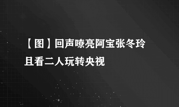 【图】回声嘹亮阿宝张冬玲 且看二人玩转央视