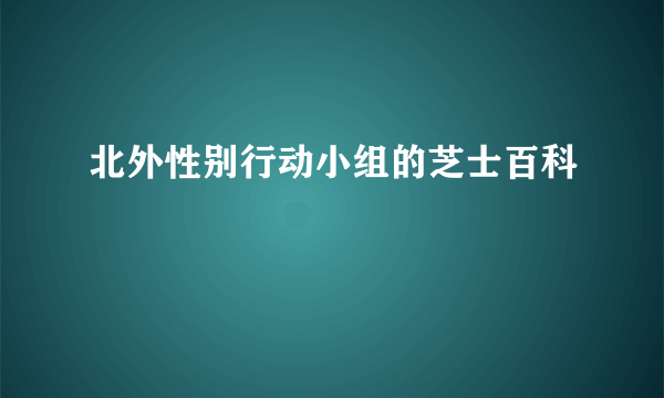 北外性别行动小组的芝士百科