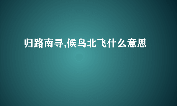 归路南寻,候鸟北飞什么意思