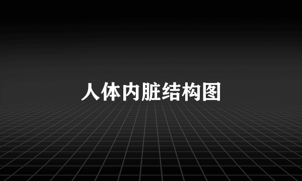 人体内脏结构图