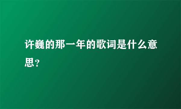 许巍的那一年的歌词是什么意思？