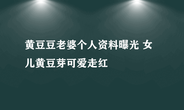 黄豆豆老婆个人资料曝光 女儿黄豆芽可爱走红