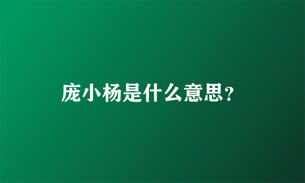 庞小杨是什么意思？