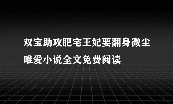 双宝助攻肥宅王妃要翻身微尘唯爱小说全文免费阅读