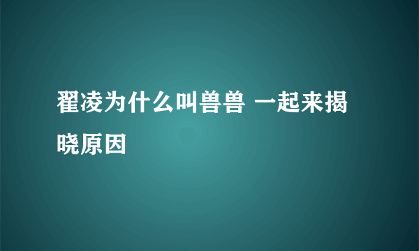 翟凌为什么叫兽兽 一起来揭晓原因