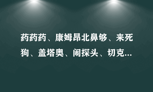 药药药、康姆昂北鼻够、来死狗、盖塔奥、闹探头、切克闹是什么意思？