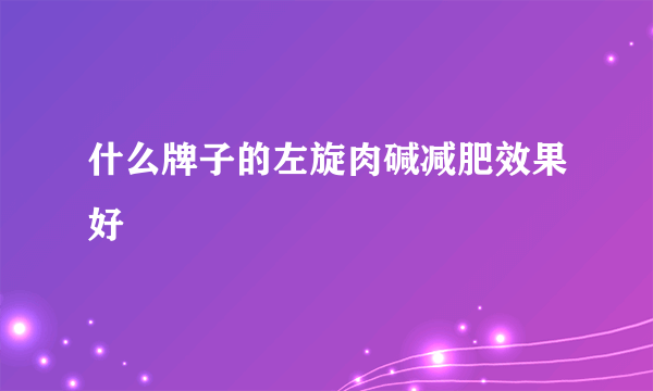 什么牌子的左旋肉碱减肥效果好