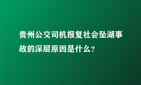 贵州公交司机报复社会坠湖事故的深层原因是什么？