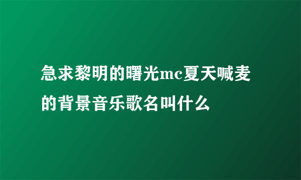 急求黎明的曙光mc夏天喊麦的背景音乐歌名叫什么