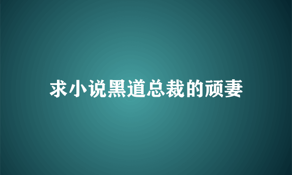 求小说黑道总裁的顽妻