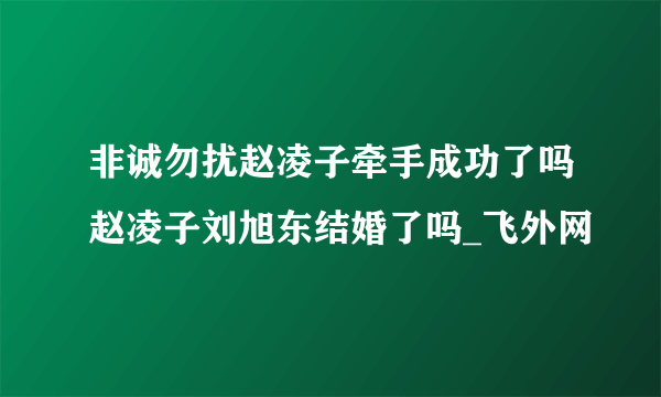 非诚勿扰赵凌子牵手成功了吗赵凌子刘旭东结婚了吗_飞外网