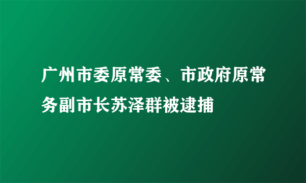 广州市委原常委、市政府原常务副市长苏泽群被逮捕