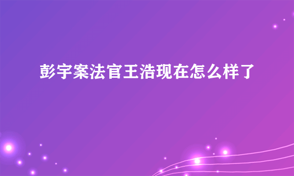 彭宇案法官王浩现在怎么样了